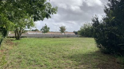 Photo du terrain n°7 de 833 m² à ECOYEUX
