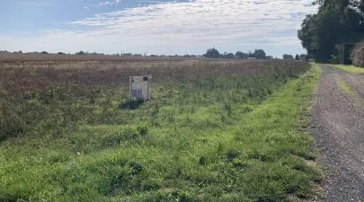 Terrain 1 400 m² à JUICQ