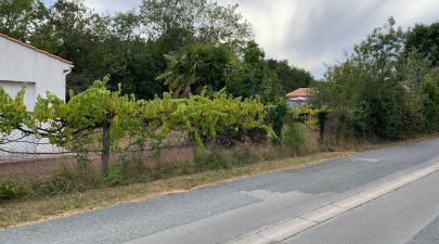 Photo du terrain n°0 de 400 m² à LE CHATEAU-D'OLERON