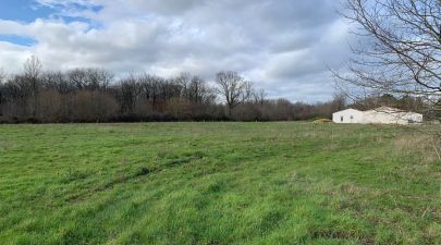 Photo du terrain n°78 de 420 m² à LA CHAPELLE-DES-POTS