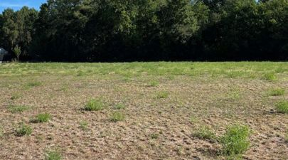 Photo du terrain n°118 de 401 m² à LES MATHES