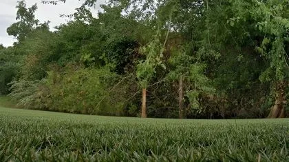 Terrain à bâtir de 491 m² à PITHIVIERS (45)