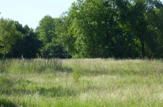 Terrain à bâtir de 794 m2 au prix de 21000 € à ANGLIERS (86)