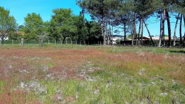 Maison n°0 à Saint-Aubin-de-Médoc