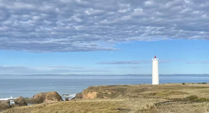 Image d'un terrain à vendre de 267 m² à SAINT-HILAIRE-DE-RIEZ (85)