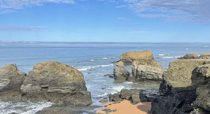 Image d'un terrain à vendre de 356 m² à SAINT-HILAIRE-DE-RIEZ (85)