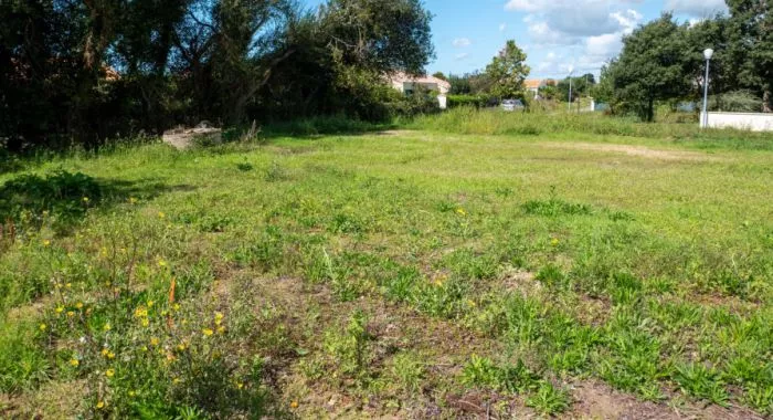 Image d'un terrain à vendre de 336 m² à BRETIGNOLLES-SUR-MER (85)