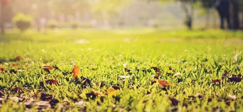 BIEN VENDRE SON TERRAIN EN 4 POINTS