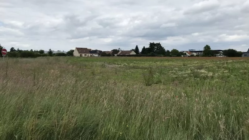 image te Terrain à bâtir de 516 m² à SAINT-PERE-SUR-LOIRE (45)