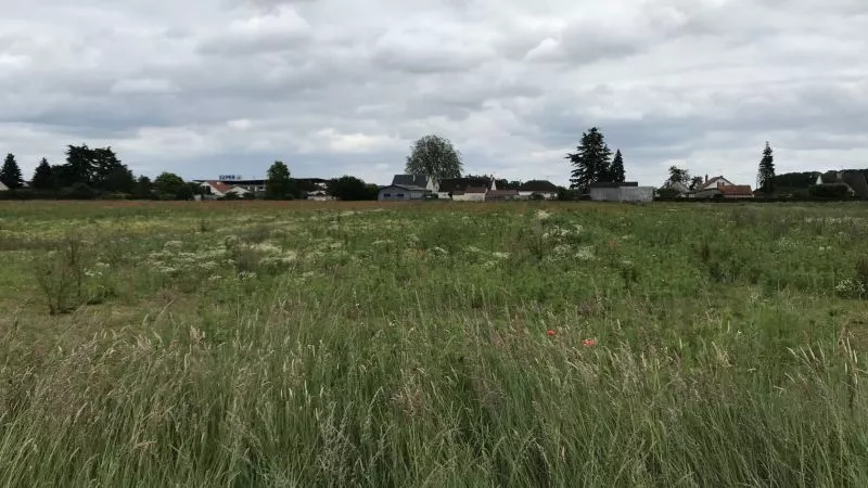 image te Terrain à bâtir de 522 m² à SAINT-PERE-SUR-LOIRE (45)