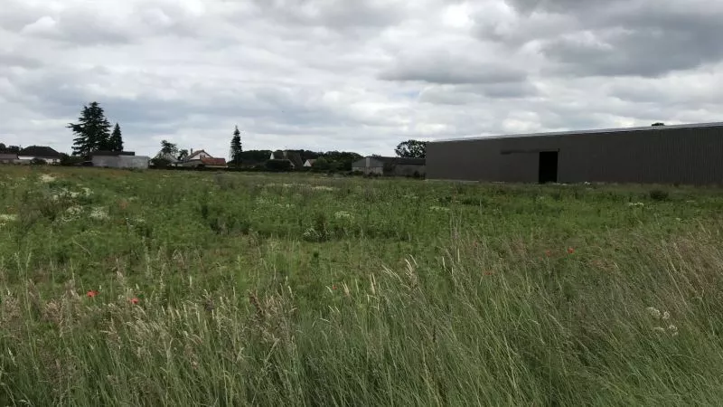 image te Terrain à bâtir de 551 m² à SAINT-PERE-SUR-LOIRE (45)