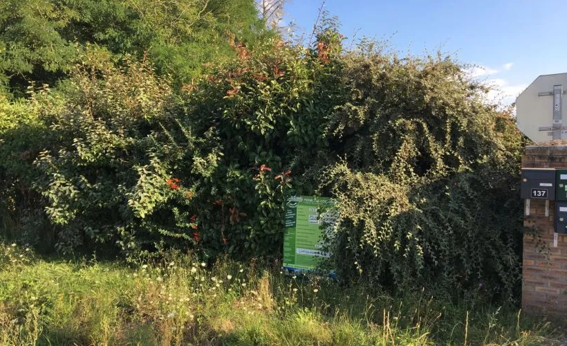 Image Terrain à bâtir de 1014 m² à CHATEAUNEUF-SUR-LOIRE (45)