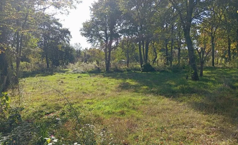 Image Terrain à bâtir de 842 m² à CHATEAUNEUF-SUR-LOIRE (45)