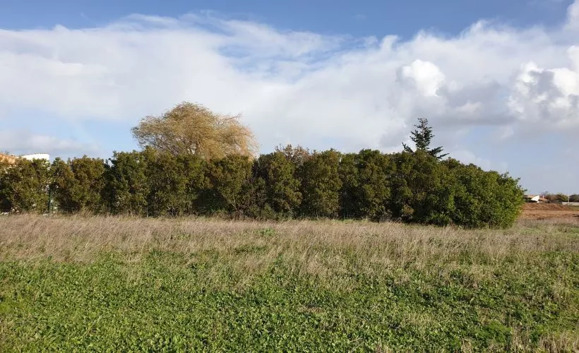 Image Terrain à bâtir de 386 m² à ANDILLY (17)