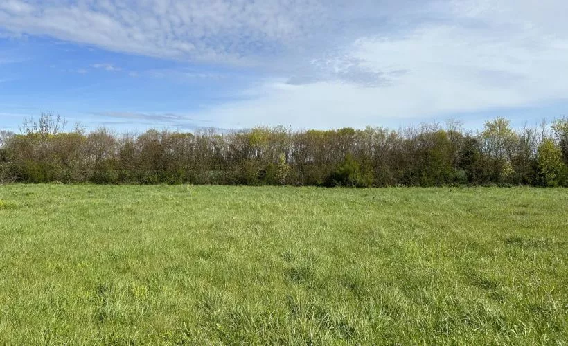 Image Terrain à bâtir de 321 m² à SAINT-LAURENT-DE-LA-PREE (17)