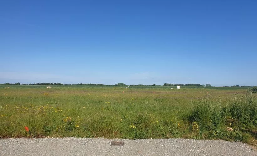 Image Terrain à bâtir de 270 m² à SALLES-SUR-MER (17)