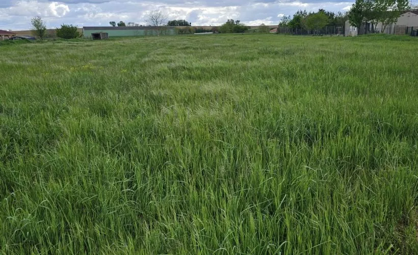 Image Terrain à bâtir de 1513 m² à VILLOGNON (16)