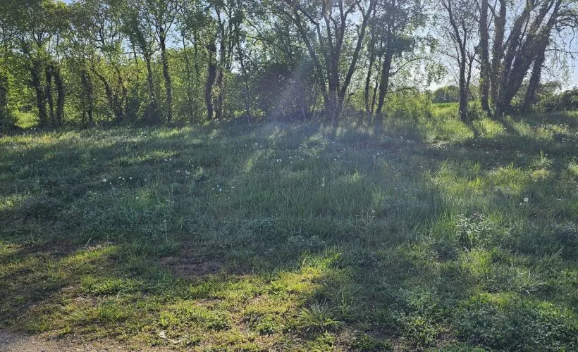 Image Terrain à bâtir de 442 m² à MORNAC (16)