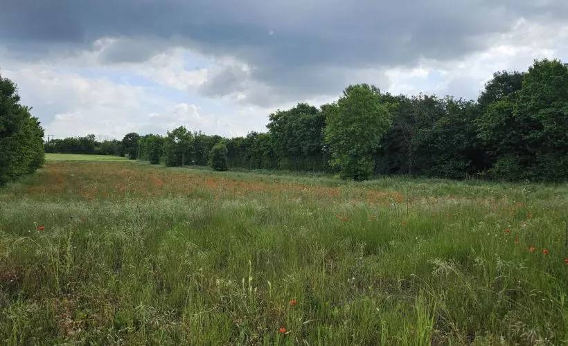 Image Terrain à bâtir de 380 m² à GOND-PONTOUVRE (16)