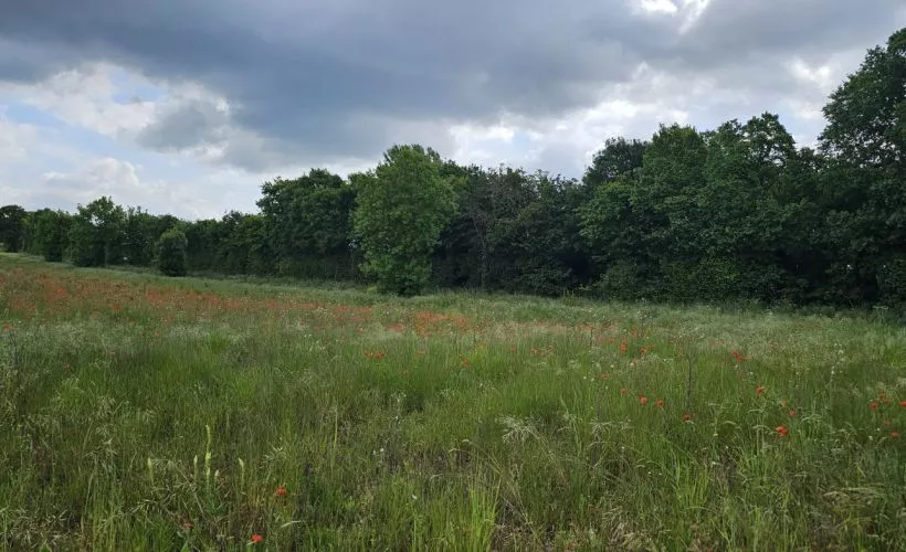Image Terrain à bâtir de 380 m² à GOND-PONTOUVRE (16)