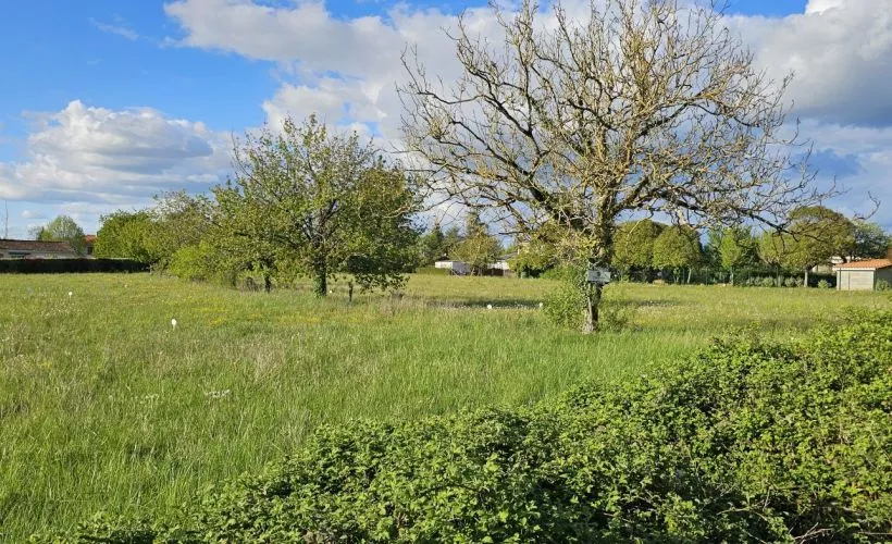 Image Terrain à bâtir de 720 m² à ROUILLAC (16)