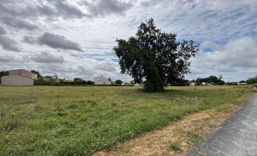 Image Terrain à bâtir de 382 m² à MEDIS (17)