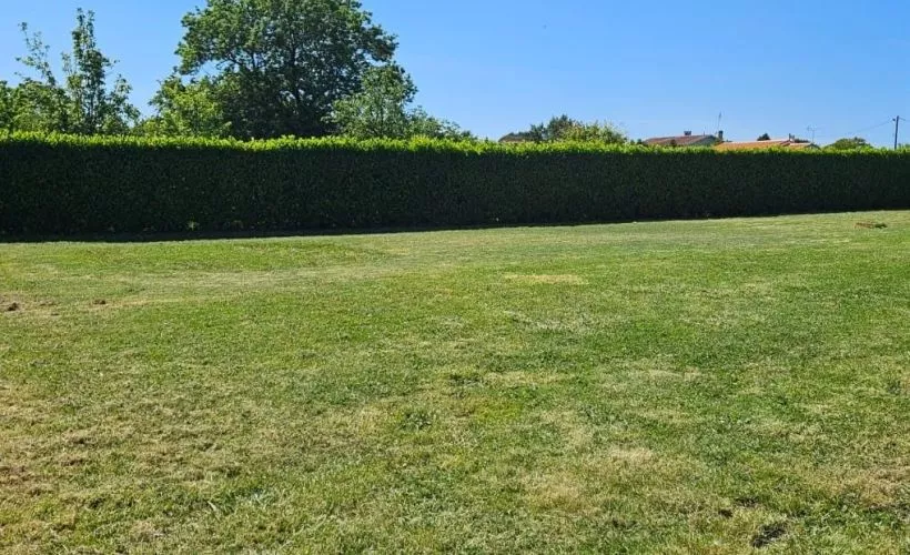 Image Terrain à bâtir de 887 m² à NANCRAS (17)