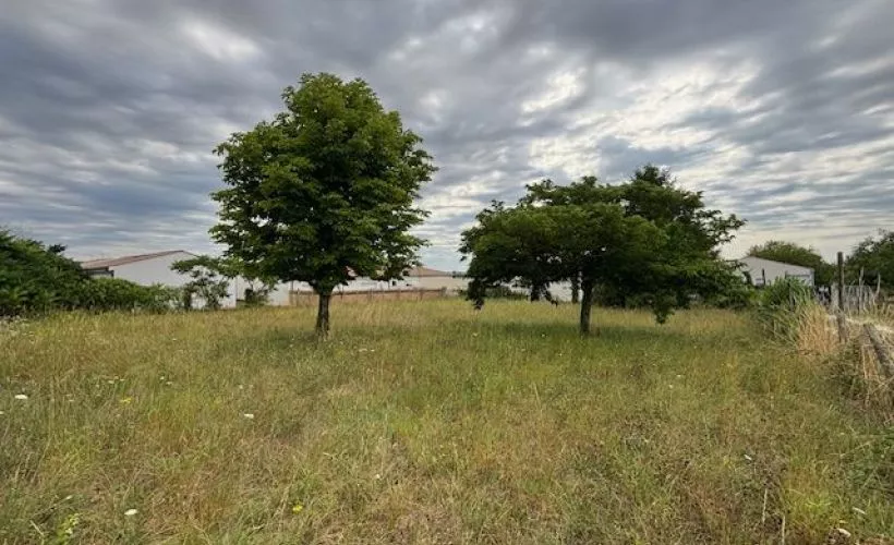 Image Terrain à bâtir de 1040 m² à MESCHERS-SUR-GIRONDE (17)