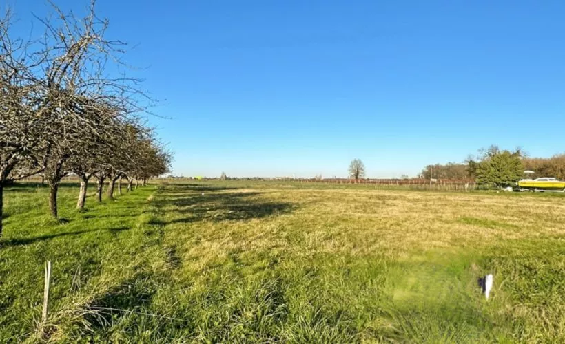 Image Terrain à bâtir de 1011 m² à GEMOZAC (17)