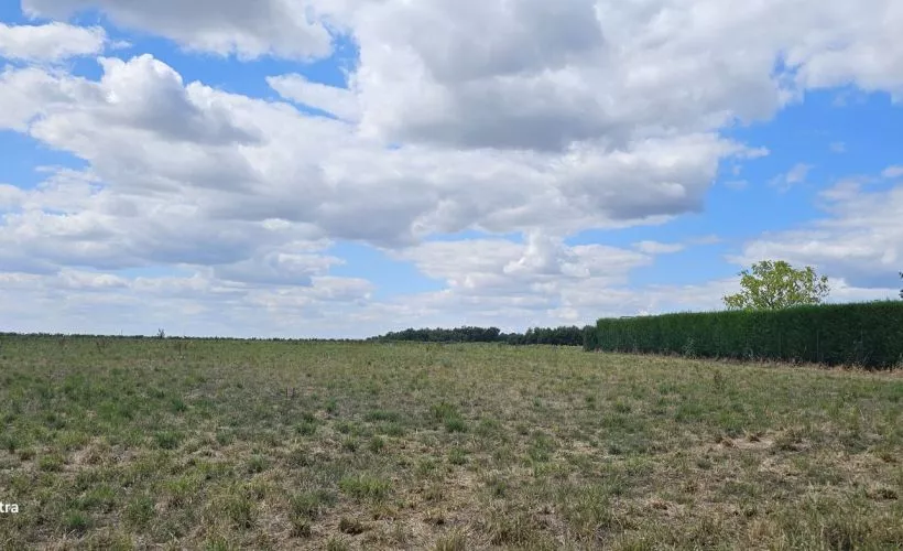 Image Terrain à bâtir de 1624 m² à RIVIERES (16)