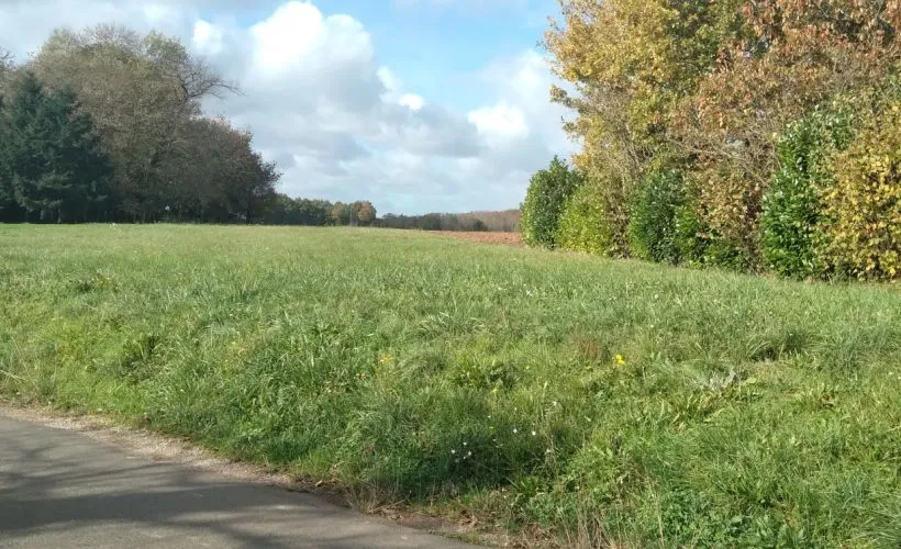 Image Terrain à bâtir de 1980 m² à SAINT-SORNIN (16)