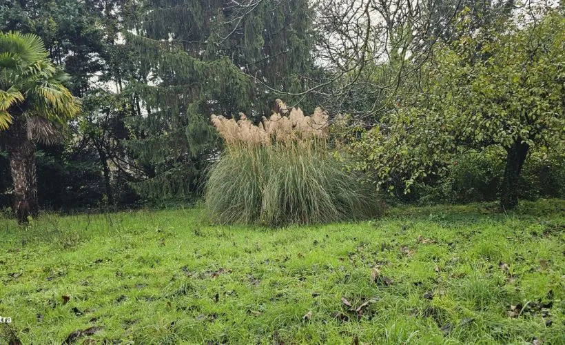 Image Terrain à bâtir de 860 m² à ANGOULEME (16)