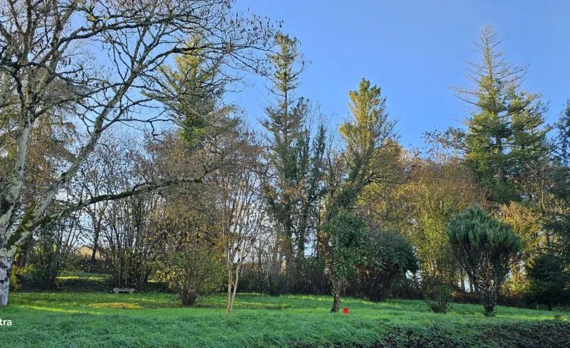 Image Terrain à bâtir de 1138 m² à MAGNAC-SUR-TOUVRE (16)