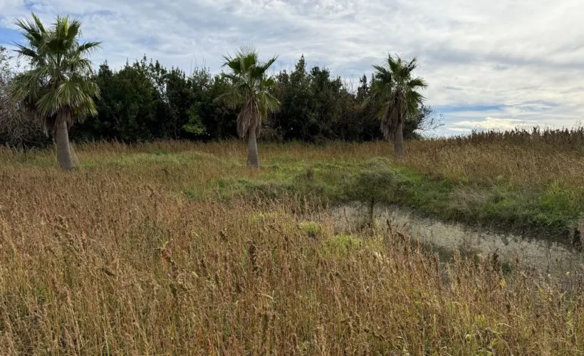 Image Terrain à bâtir de 1700 m² à SEMUSSAC (17)