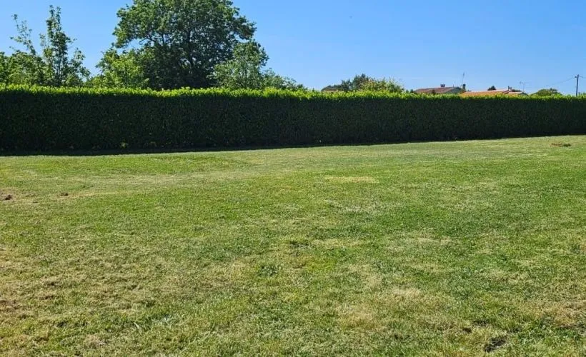 Image Terrain à bâtir de 887 m² à NANCRAS (17)