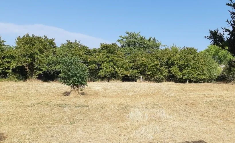 Image Terrain à bâtir de 1744 m² à MATHA (17)