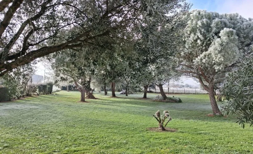 Image Terrain à bâtir de 2703 m² à REPARSAC (16)