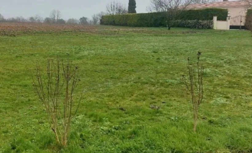 Image Terrain à bâtir de 974 m² à SAINT-GEORGES-DES-COTEAUX (17)