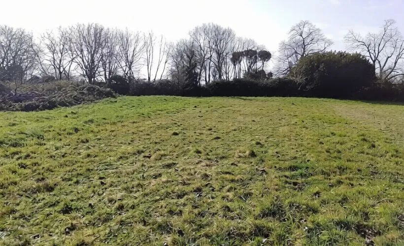 Image Terrain à bâtir de 4593 m² à CLION (17)