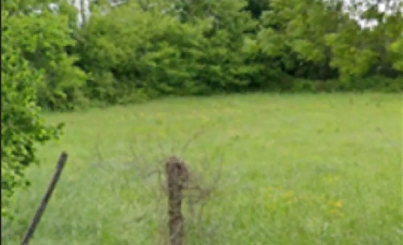 Image Terrain à bâtir de 1012 m² à RIOUX (17)