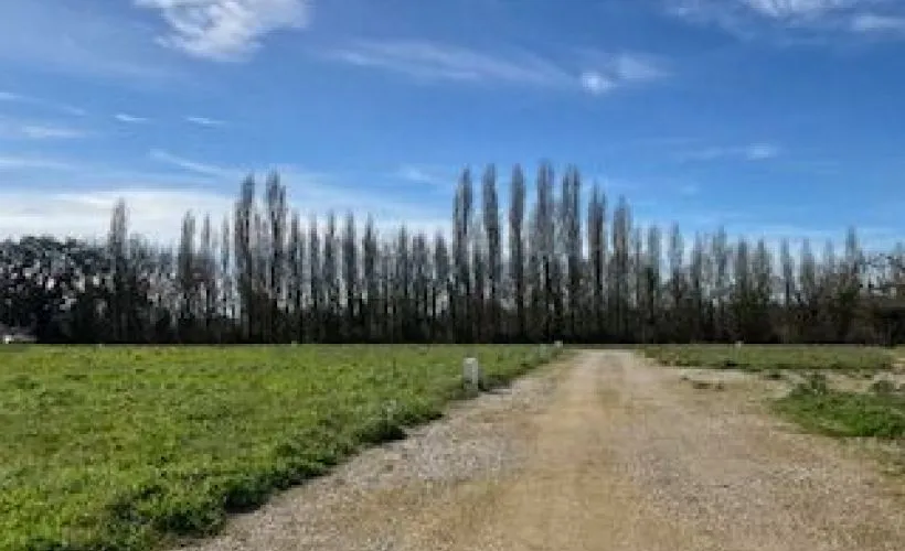 Image Terrain à bâtir de 702 m² à MONTPELLIER-DE-MEDILLAN (17)