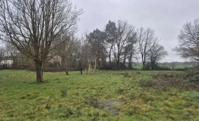 Image Terrain à bâtir de 1123 m² à TESSON (17)