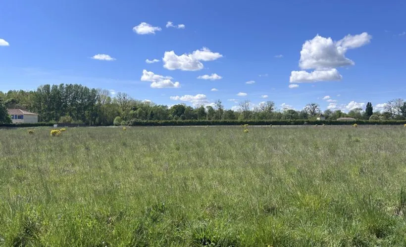 Image Terrain à bâtir de 820 m² à GIMEUX (16)