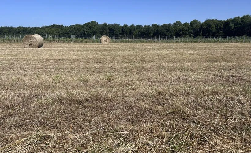 Image Terrain à bâtir de 900 m² à LOUZAC-SAINT-ANDRE (16)