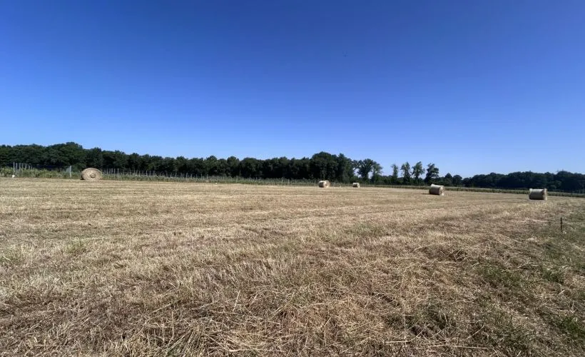 Image Terrain à bâtir de 1100 m² à CHERAC (17)