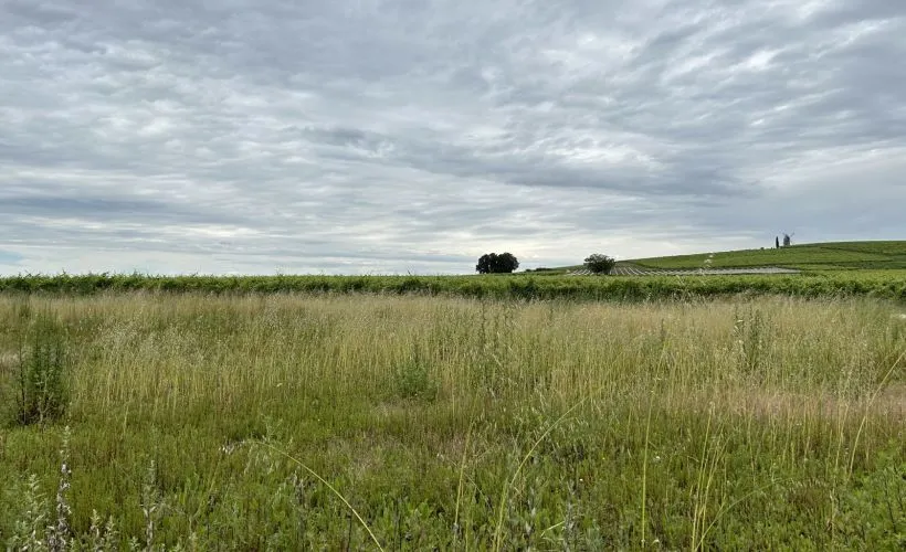 Image Terrain à bâtir de 2172 m² à SAINTE-LHEURINE (17)