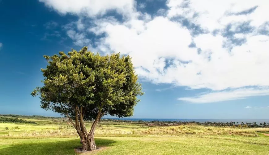 Combien ça coûte de viabiliser un terrain ?