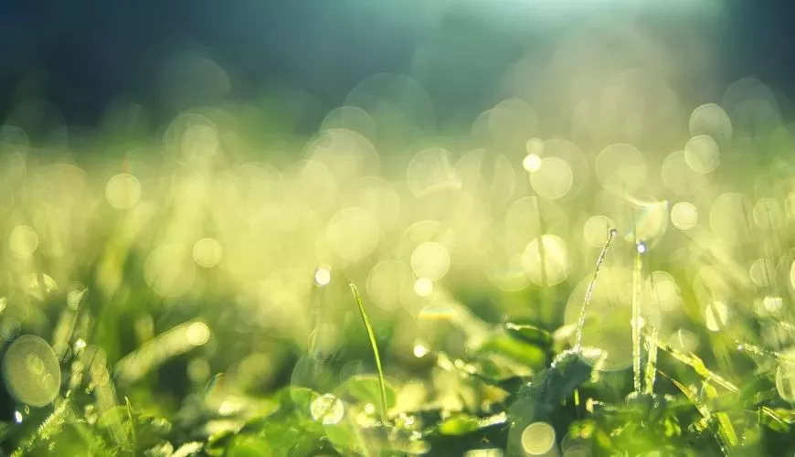 Terrain plat, terrain en pente : avantages et inconvénients pour bâtir votre maison ?