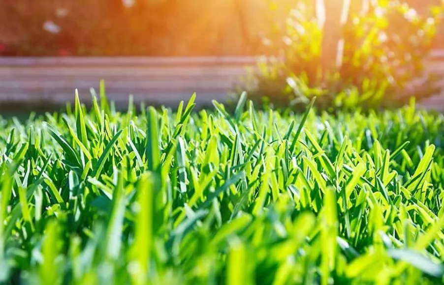 Image Terrain à bâtir de 422 m² à PAULX (44)