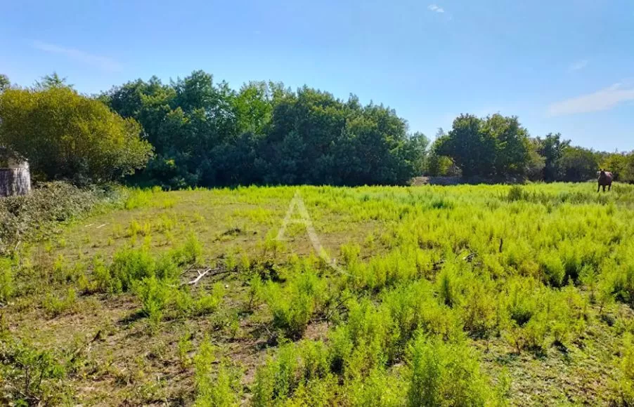 Image Terrain à bâtir de 1132 m² à SAINT-URBAIN (85)